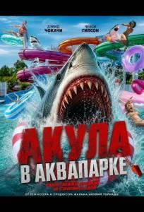 Акула в аквапарке (фильм 2025)